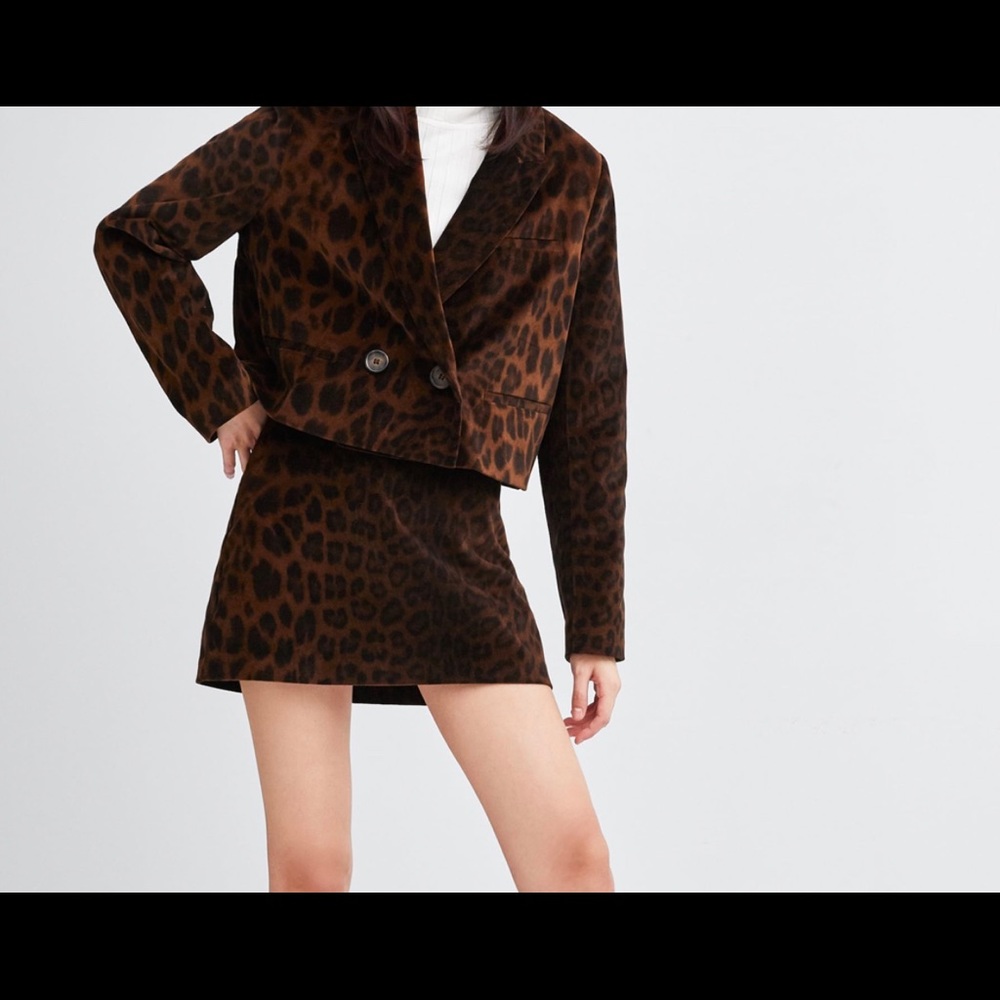 Zara Animal Print Mini Skirt